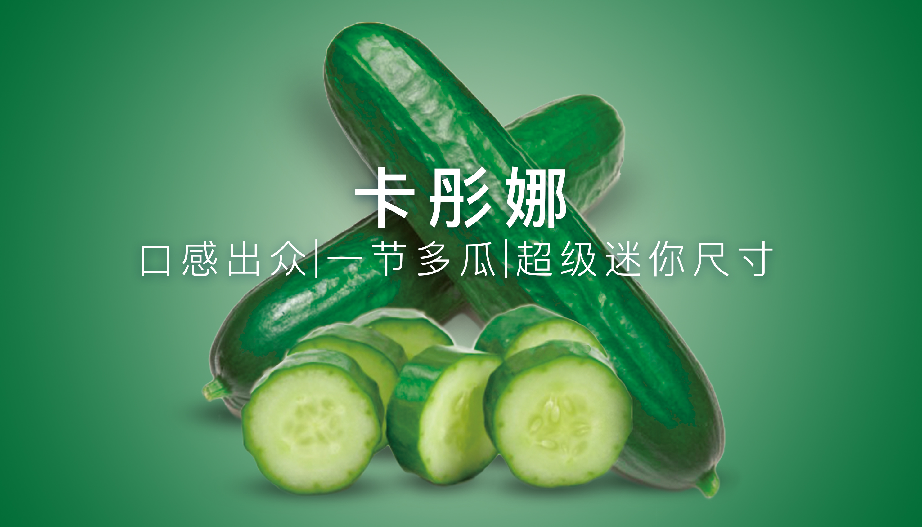 卡彤娜