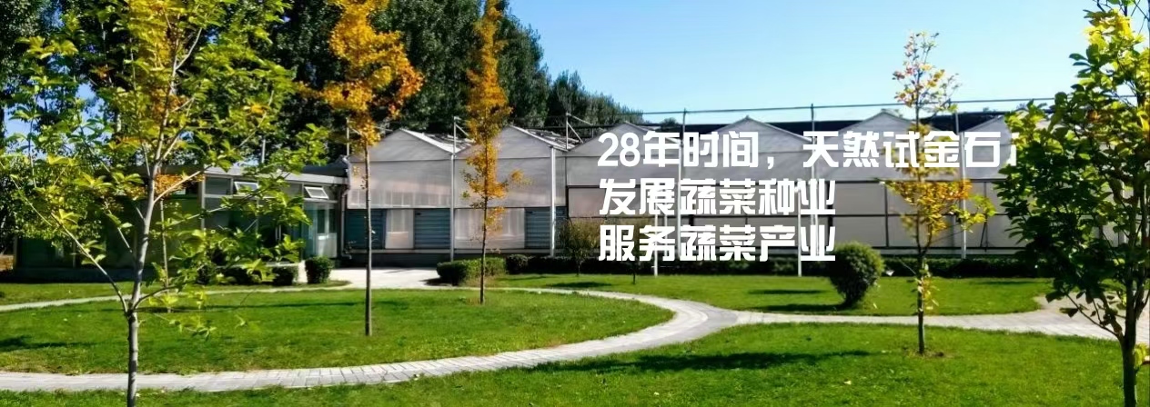 關(guān)于天地園