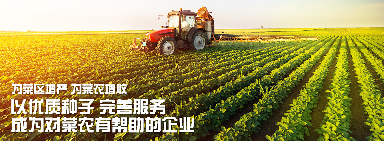 菜農(nóng)有幫助