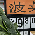 菜價(jià)飛漲