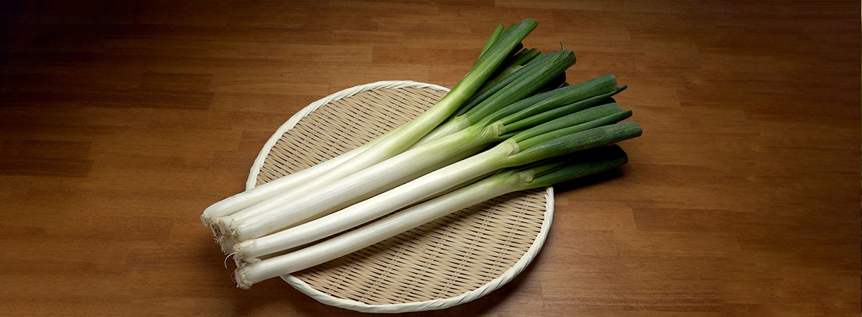 胡蘿卜