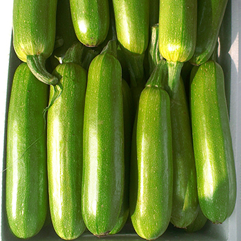 210