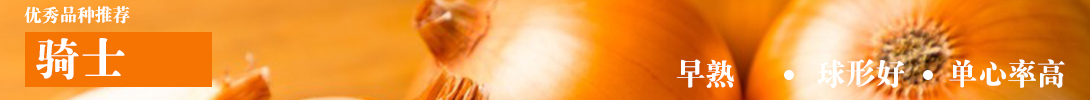 onion