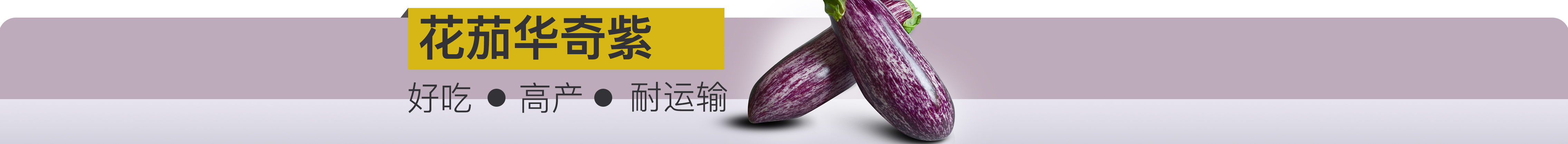 華奇紫