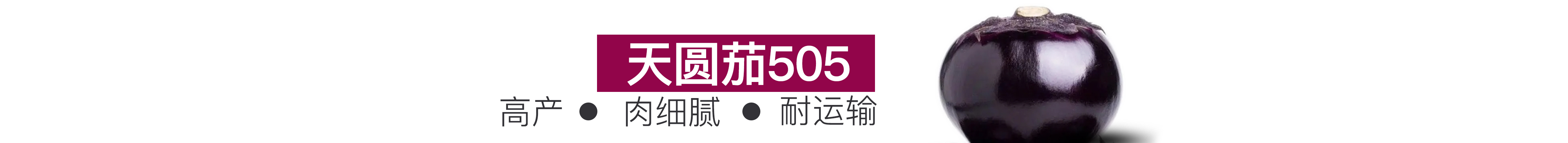 天圓茄505