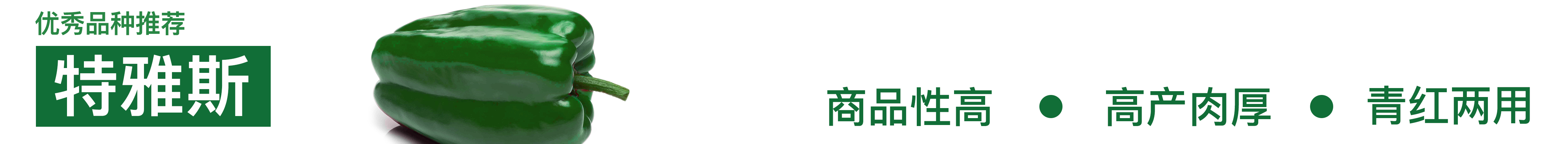 長(zhǎng)方椒
